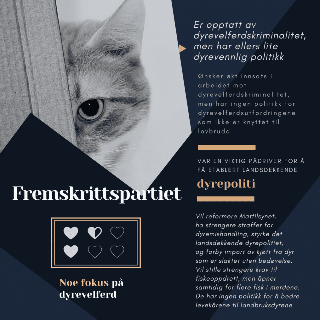 Valg 2021: Hvilke partier er mest dyrevennlige? – ferdig anrettet
