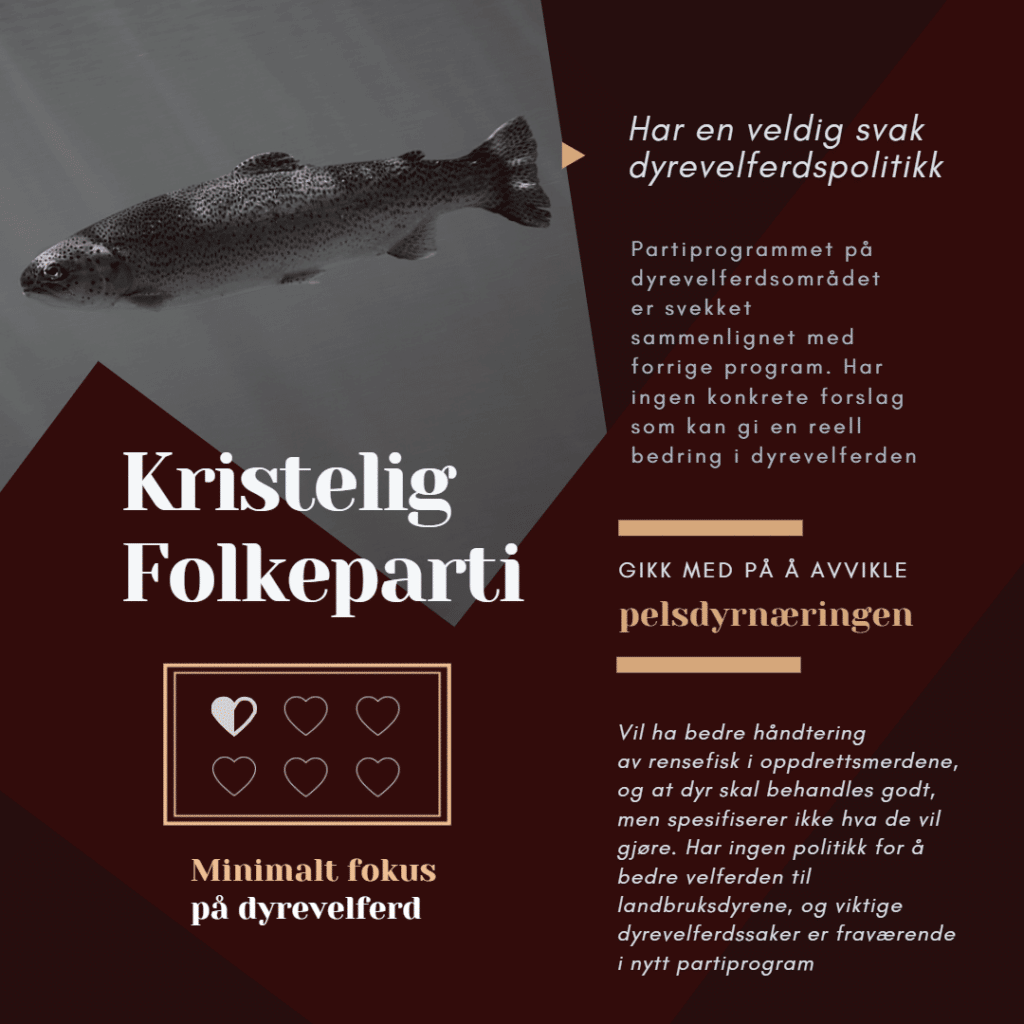 Valg 2021: Hvilke partier er mest dyrevennlige? – valg 2021 krf bruke
